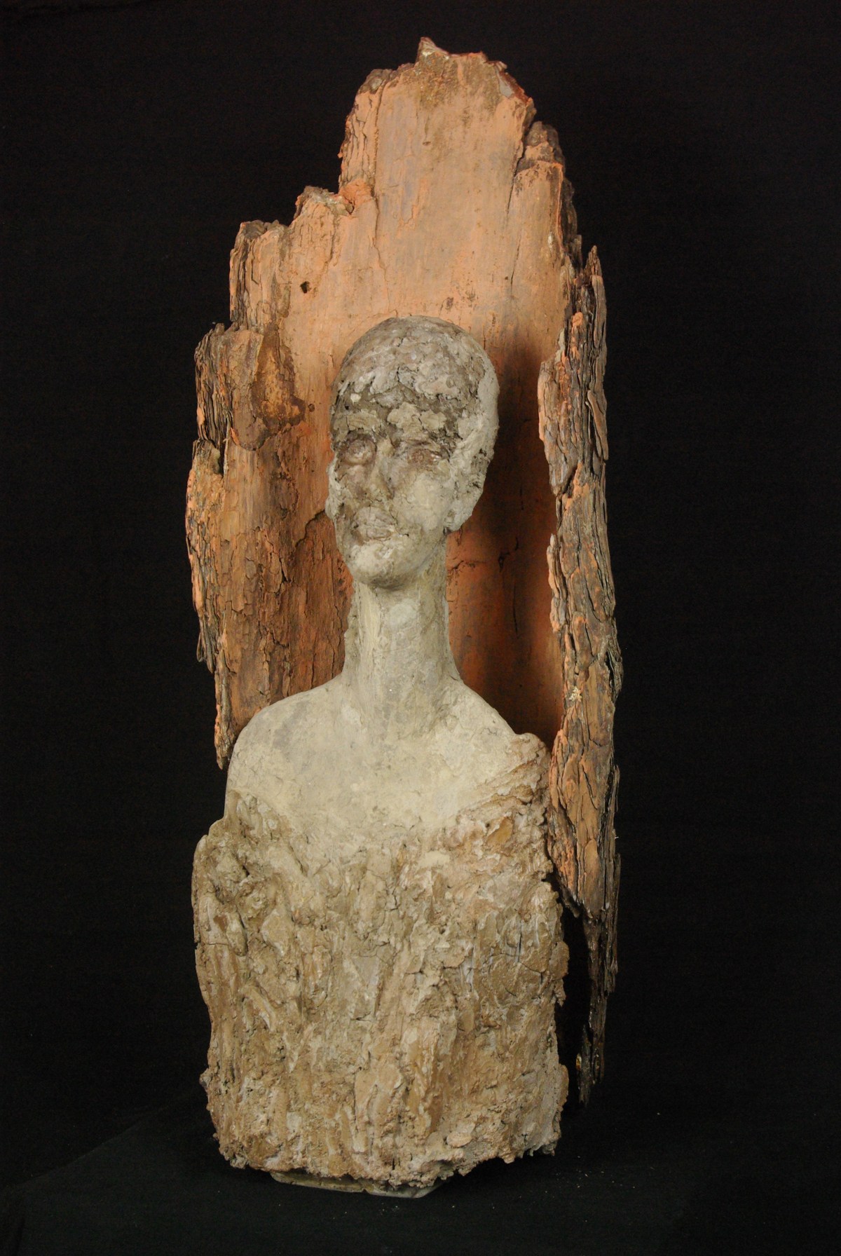 Icône de la&nbsp;forêt